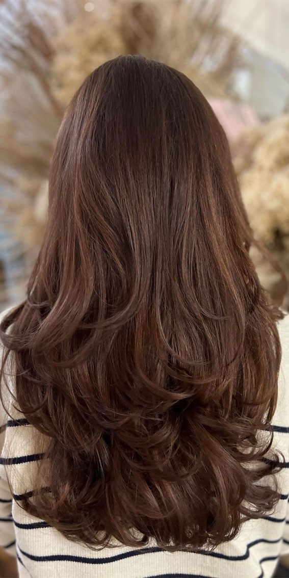 Deep Chestnut With Soft Layers — Chestnut Brown Hair