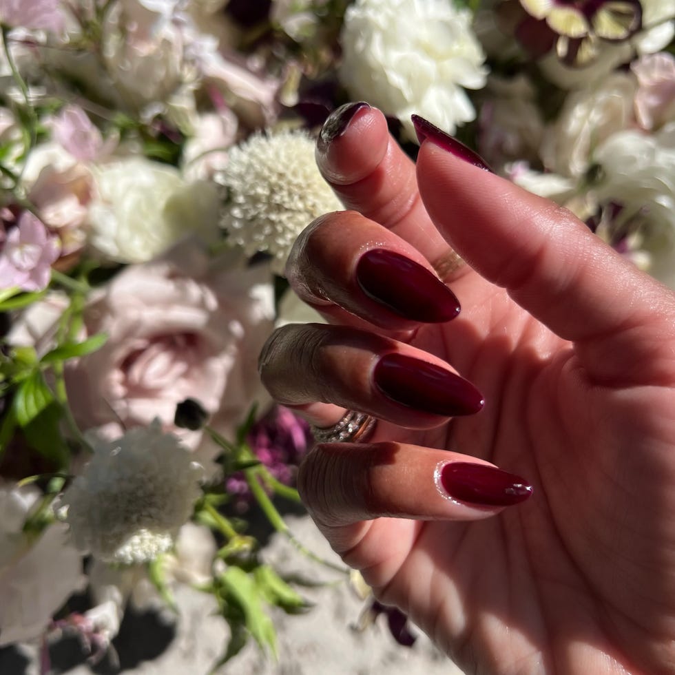 Lustrous Dark Burgundy Oval Nails Lustrous Dark Burgundy Oval Nails — Black Cherry Nails