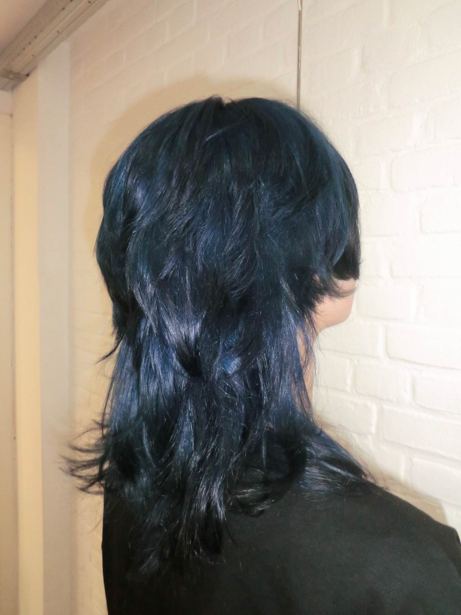 Mid-Back Black Base With Vibrant Blue Tones — Blue Black Hair