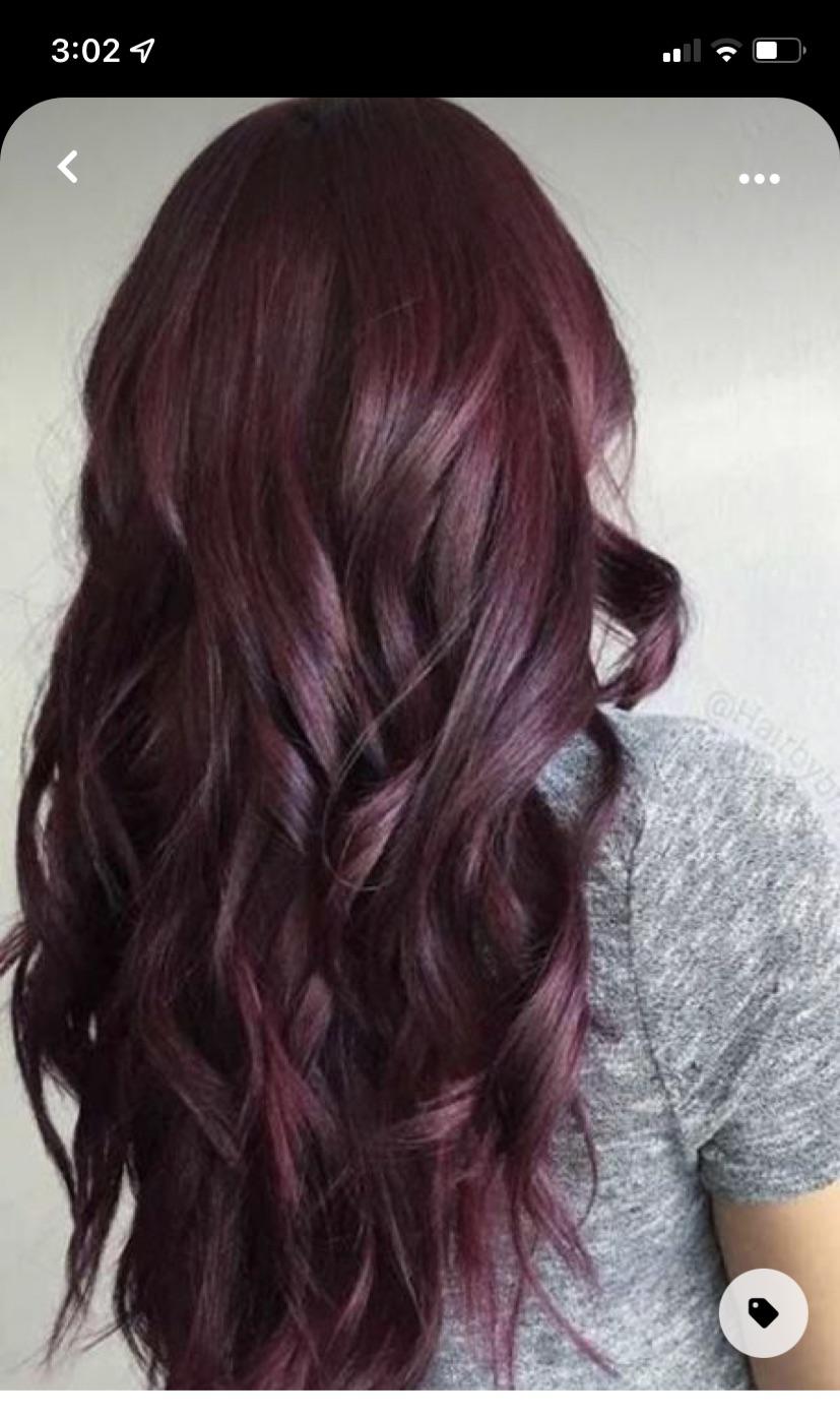 Deep Burgundy with Violet Undertones Deep Burgundy with Violet Undertones — Winter Red Hair Colors