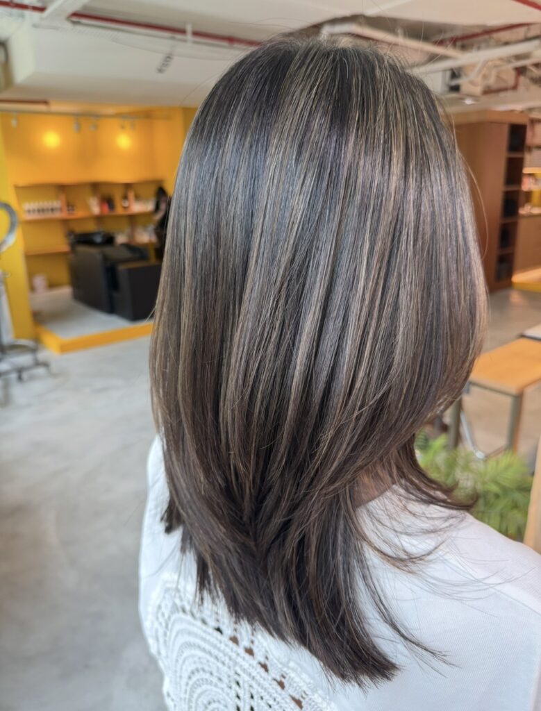 Collarbone Back View, Dark With Ash-Silver Collarbone Back View, Dark With Ash-Silver — Gray Blending Highlights