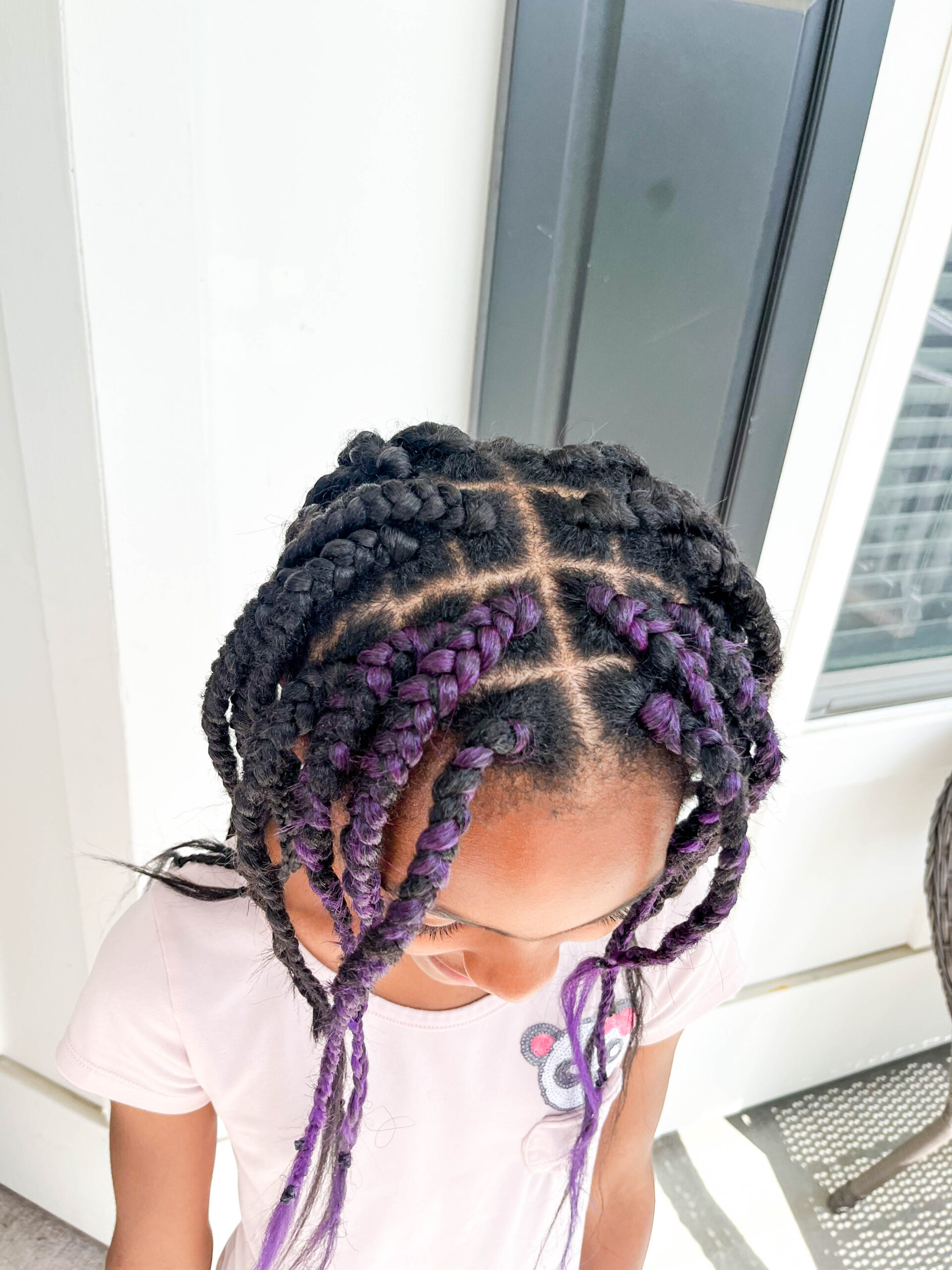 Box Braids With Purple Accents Box Braids With Purple Accents — Winter Hairstyles for Kids