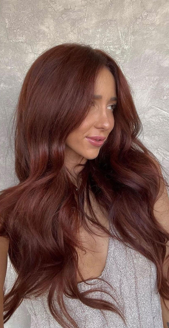 Warm Medium Auburn Visual Idea — Winter Hair Colors for Redheads
