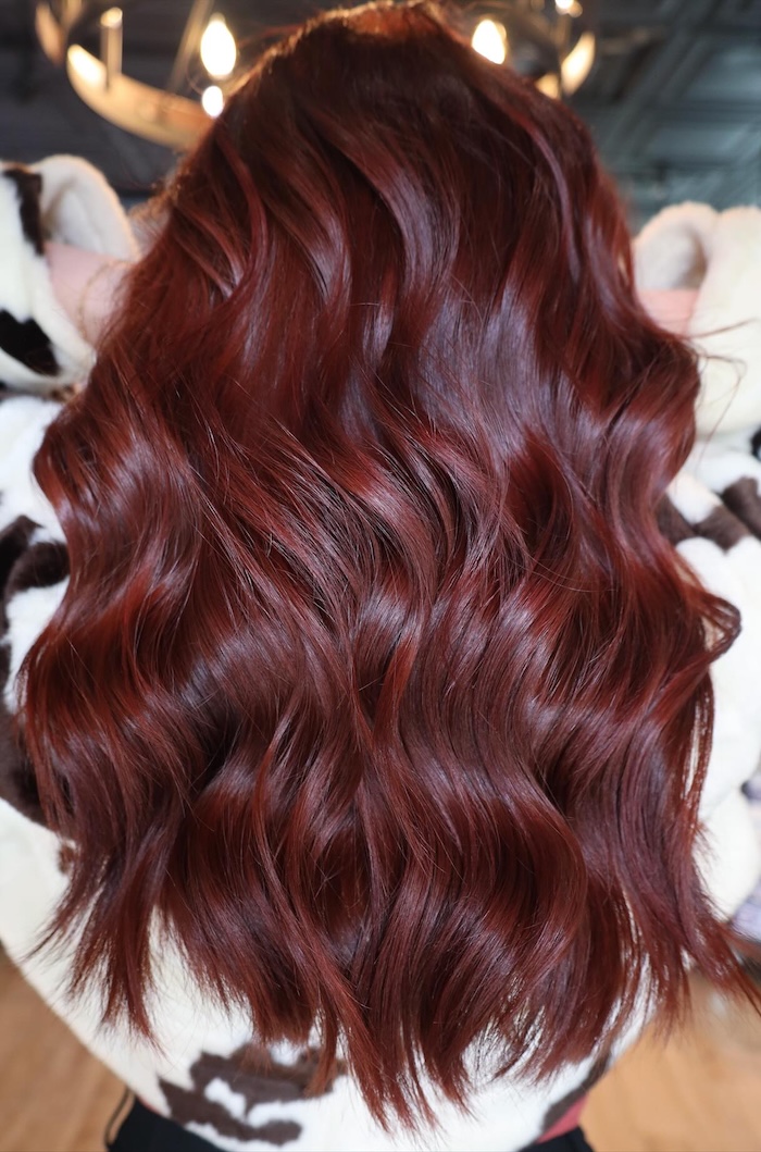 Dark Brown with Copper and Auburn Dimension Dark Brown with Copper and Auburn Dimension — Winter Red Hair Colors