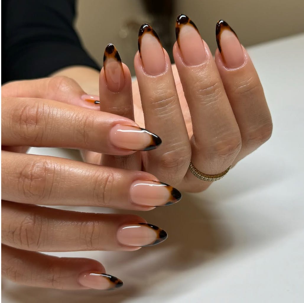 Long Stiletto Tortoiseshell French Long Stiletto Tortoiseshell French — French Nail Designs