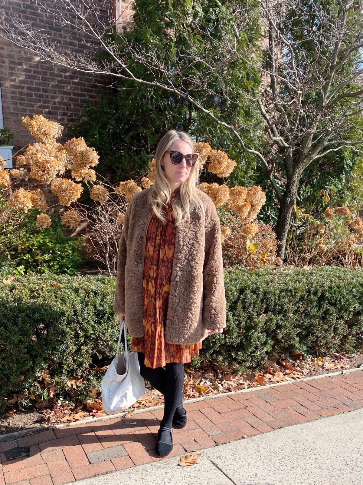 Cozy Teddy Coat Over a Patterned Dress Cozy Teddy Coat Over a Patterned Dress — Chicago Winter Outfits