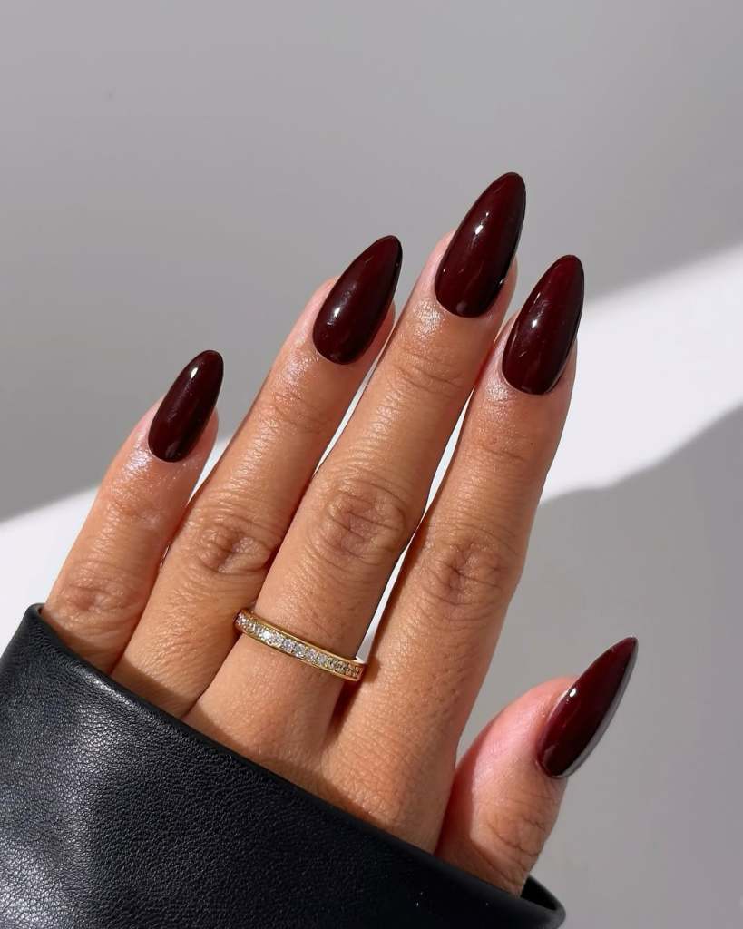 Deep Burgundy Glossy Stiletto Nails — Winter Acrylic Nail Colors