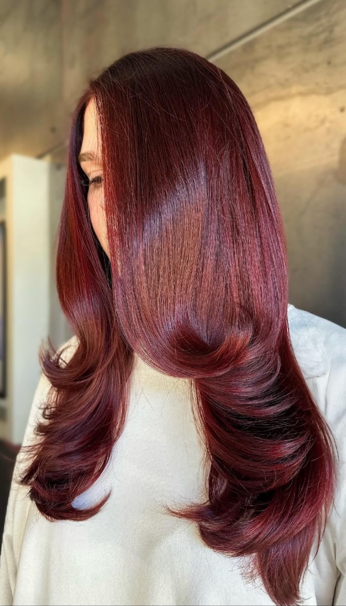 Deep Glossy Burgundy Blowout Deep Glossy Burgundy Blowout — Winter Red Hair Colors