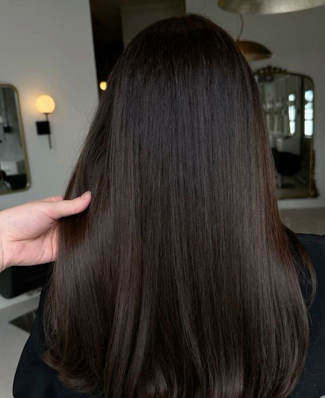Solid Dark Brown Hair Solid Dark Brown Hair — Dark Winter Hair Colors