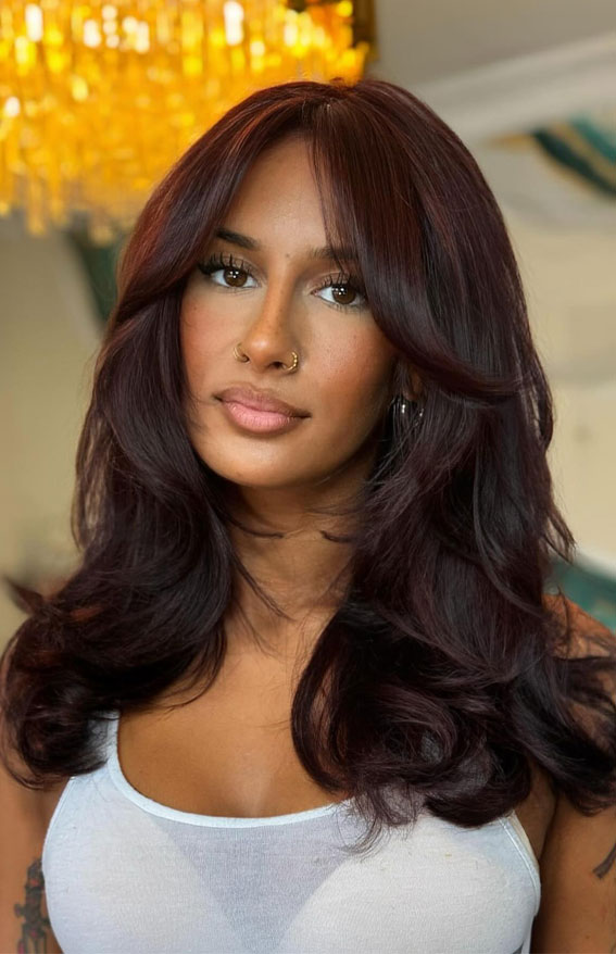 Dark Plum with Red Undertones Dark Plum with Red Undertones — Dark Winter Hair Colors