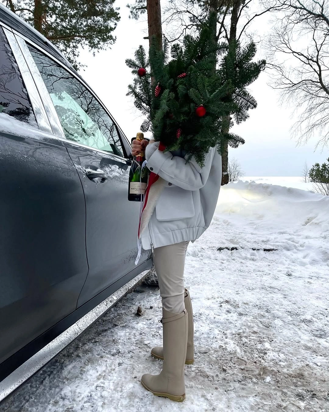 Pale outfit and beige boots carrying evergreen tree in snow