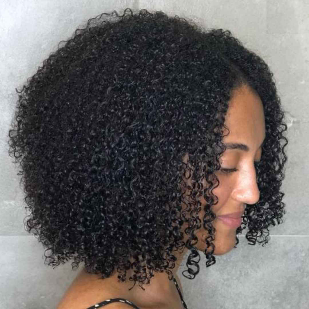 Rounded Bob With Defined Coils Rounded Bob With Defined Coils — Aesthetic 4c Hair