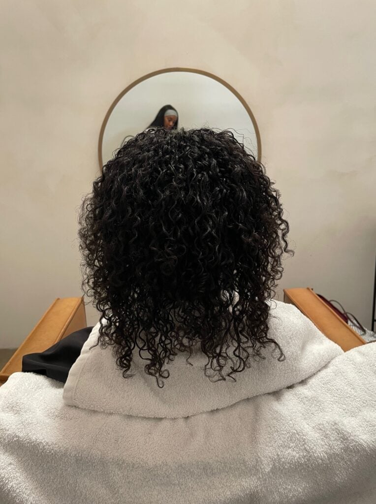 Back View Layers With Defined Coils Back View Layers With Defined Coils — Aesthetic 4c Hair