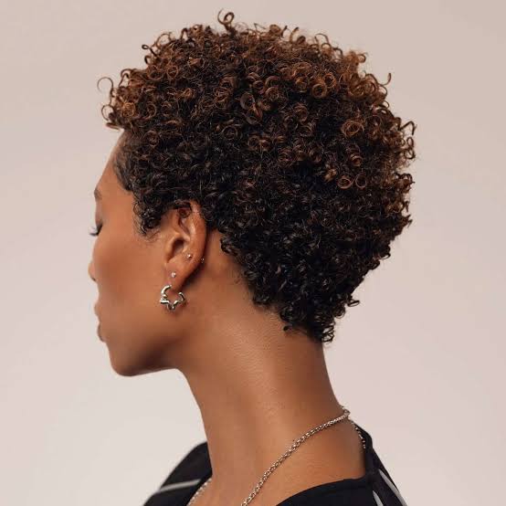 Side Profile Pixie With Auburn Tones Side Profile Pixie With Auburn Tones — Aesthetic 4c Hair