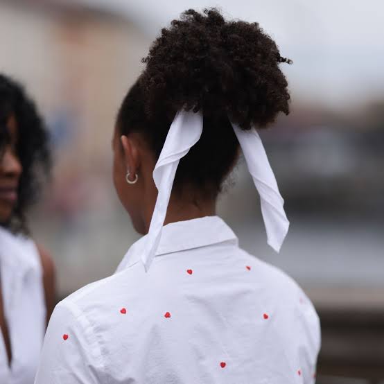 Back View Updo With Decorative Scarf Back View Updo With Decorative Scarf — Aesthetic 4c Hair