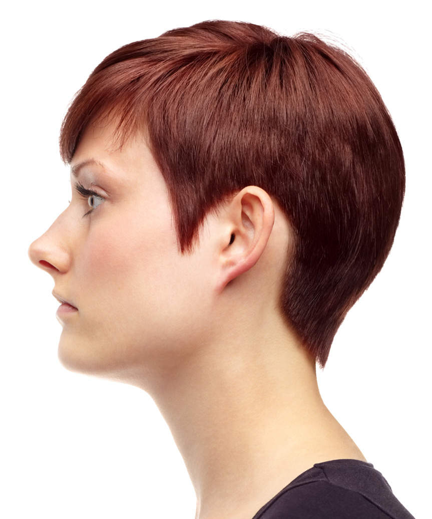 Auburn Asymmetrical Pixie With Sharp Bangs Auburn Asymmetrical Pixie With Sharp Bangs — Classy Asymmetrical Pixie