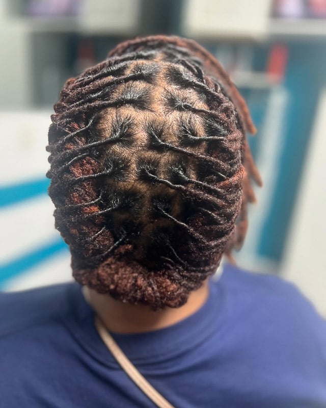 Mid-Back Black And Brown Barrel Twists Updo, Close-Up Take Mid-Back Black And Brown Barrel Twists Updo, Close-Up Take — Classy Barrel Locs