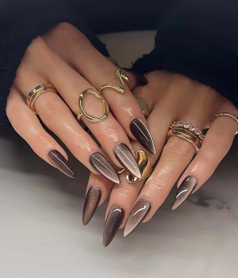 Long Stiletto Cat Eye Brown Ombre — Classy Brown Ombre Nails