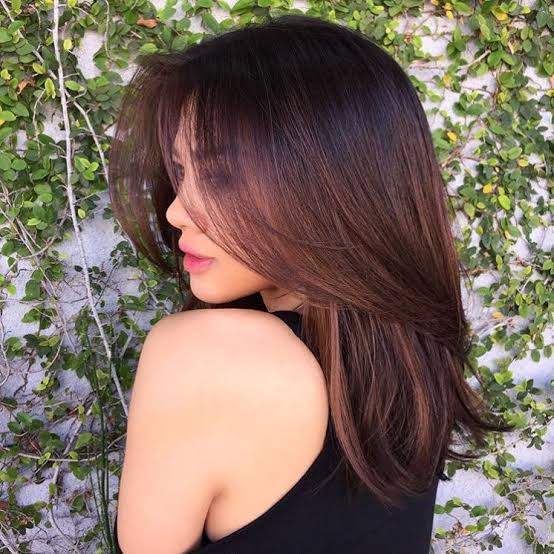Collarbone Length With Rose Gold Balayage Collarbone Length With Rose Gold Balayage — Classy Brunette Hair Colors