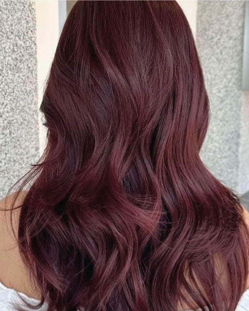 Back View Of Voluminous Wavy Burgundy — Classy Burgundy Highlights
