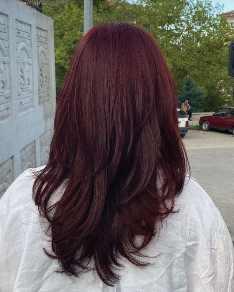 Mid-Back Layers With Dark Burgundy Strands — Classy Burgundy Highlights