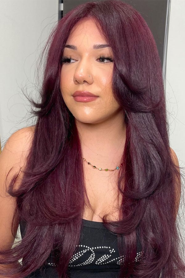 Mid-Back Layered Blowout With Deep Burgundy and Curtain Bangs — Classy Burgundy Highlights