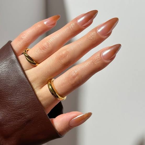 Long Stiletto Sheer Nude to Warm Brown Gradient — Classy Chocolate Nails