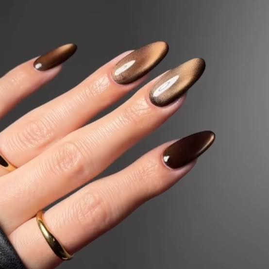 Medium Almond Dark Brown Cat-Eye Effect — Classy Chocolate Nails