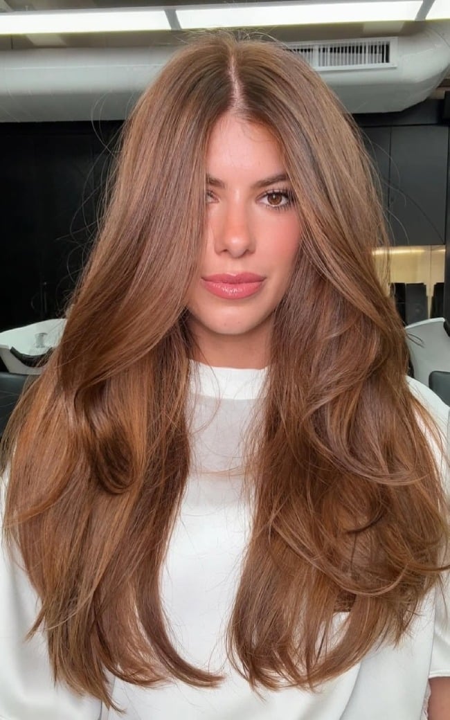 Mid-Back Layers With Caramel Highlights — Classy Cinnamon Hair