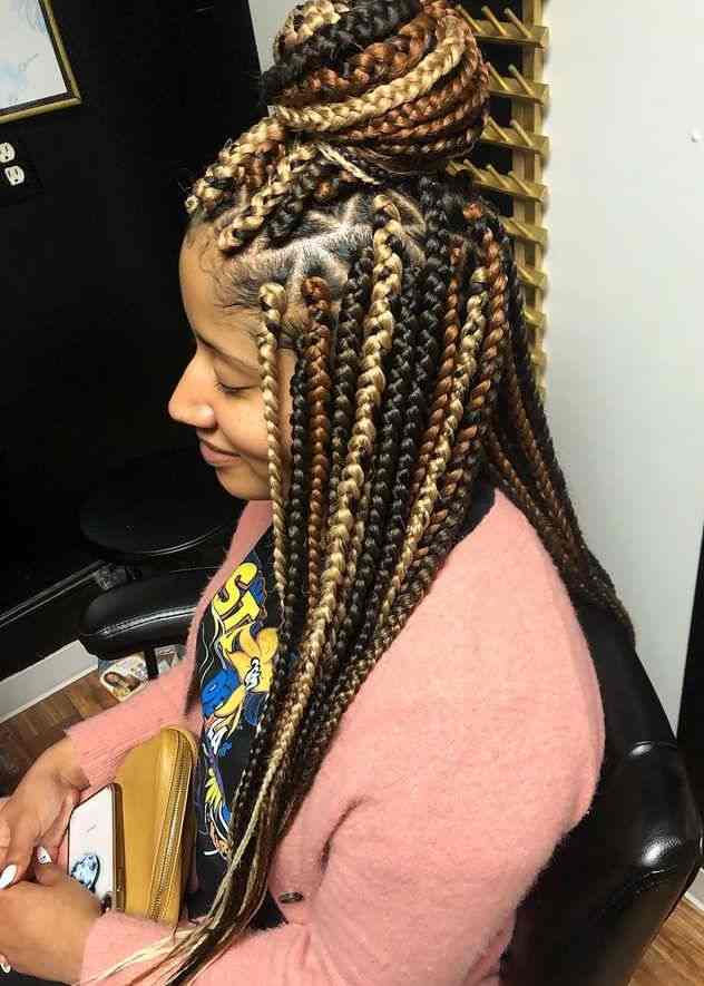 Multi-Color Box Braids Half-Updo, Mid-Back — Classy Color Braids