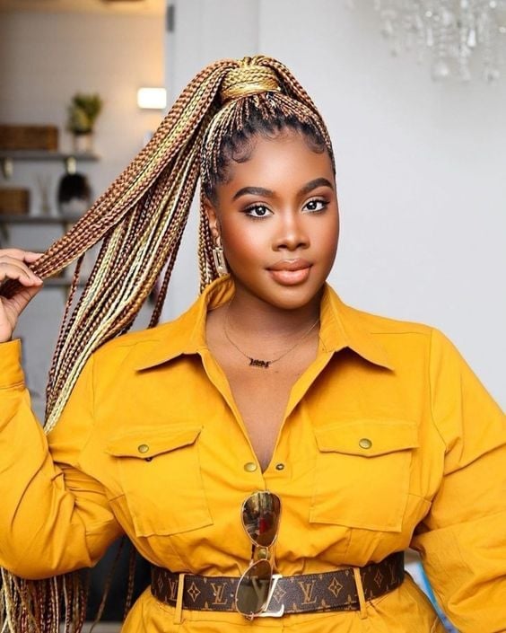 Mid-Back Braids High Ponytail — Classy Color Braids