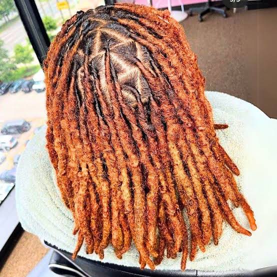 Mid-Back Coily Locs in Warm Auburn Mid-Back Coily Locs in Warm Auburn — Classy Color Locs