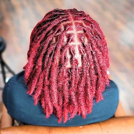 Shoulder Length Locs in Deep Red Shoulder Length Locs in Deep Red — Classy Color Locs