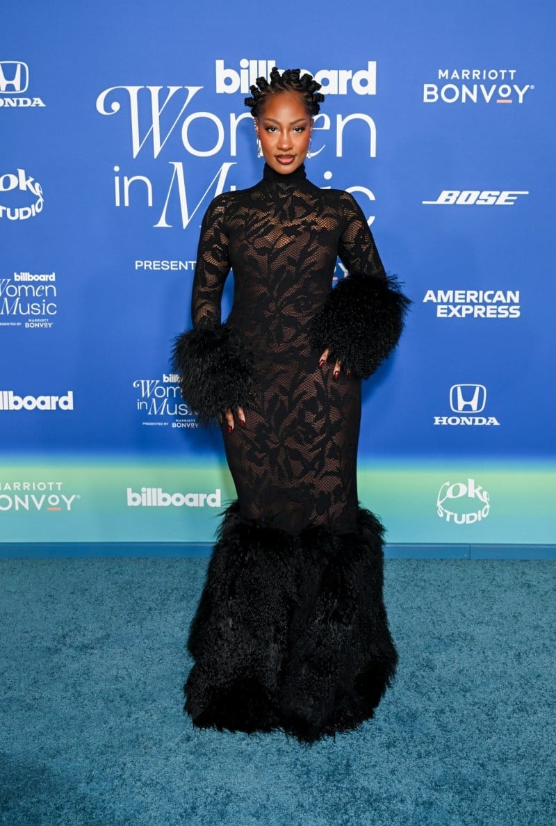 Black Lace Dress with Fur Trim Black Lace Dress with Fur Trim — Classy Concert Dresses