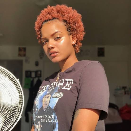 Collarbone Length Blowout with Copper Highlights Collarbone Length Blowout with Copper Highlights — Classy Copper Hair on Black Women