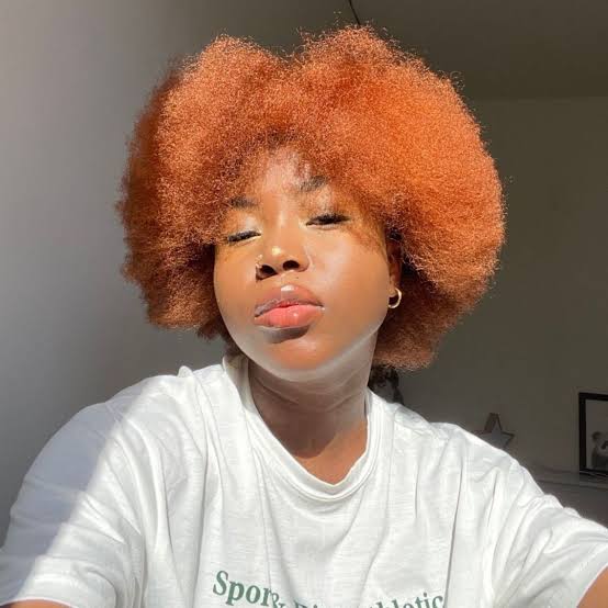 Shoulder Length Coily Locs in Vibrant Copper Shoulder Length Coily Locs in Vibrant Copper — Classy Copper Hair on Black Women