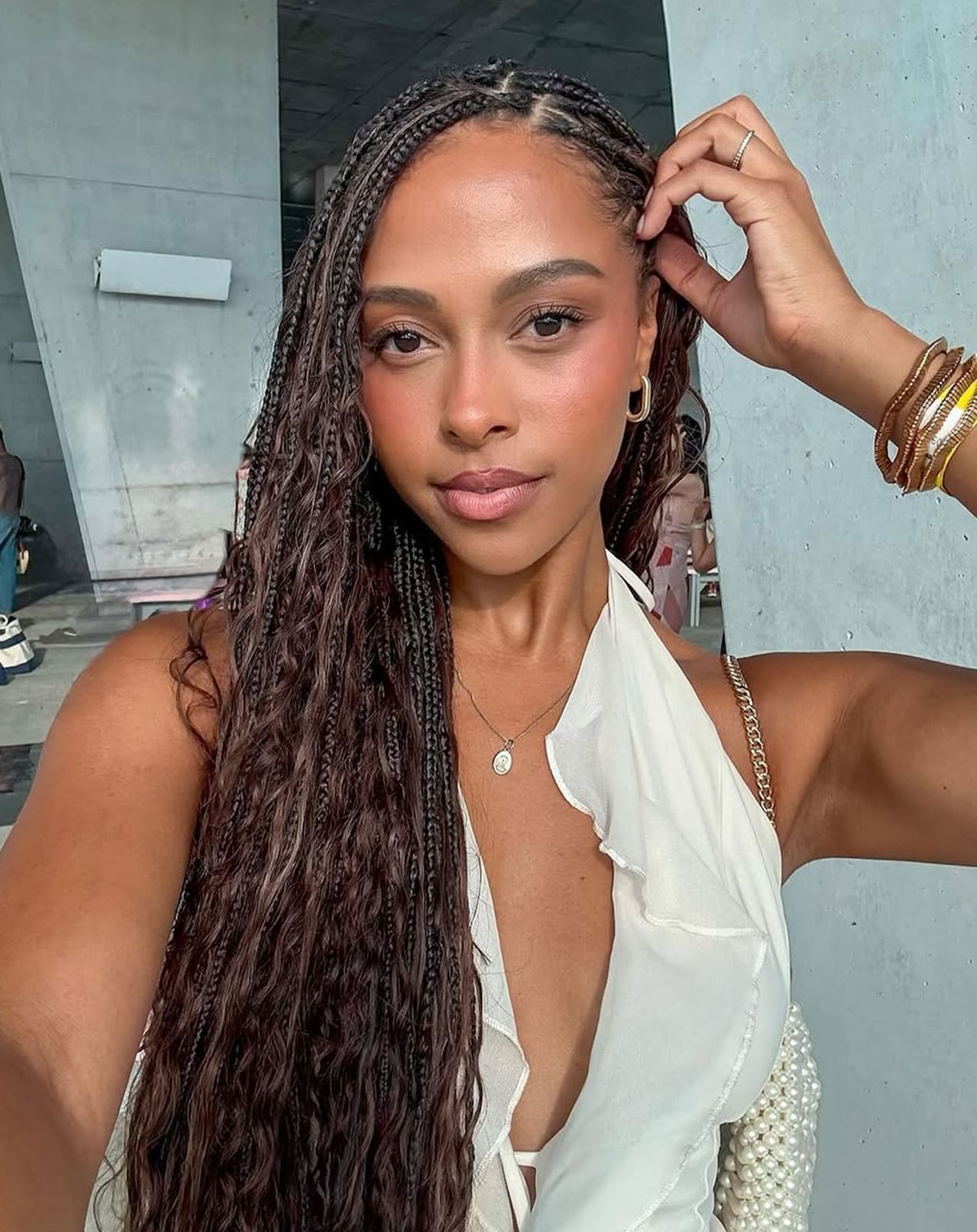 Long Dark Brown Braids With Blonde Tips Long Dark Brown Braids With Blonde Tips — Classy Curls Braids