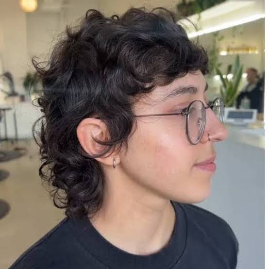 Collarbone Length Dark Brown Curly Wolf Cut, Ear Collarbone Length Dark Brown Curly Wolf Cut, Ear — Classy Curly Wolf Cut