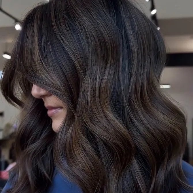 Collarbone Wavy Layers With Subtle Blonde Highlights, Side — Classy Dark Brown Hair with Blonde