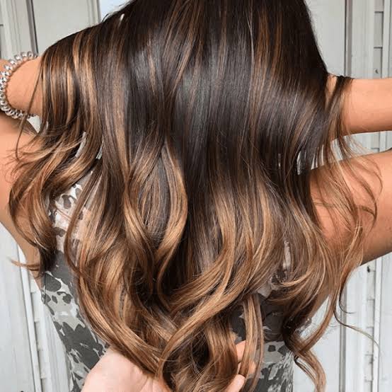 Mid-Back Dark Brown With Sun-Kissed Highlights Mid-Back Dark Brown With Sun-Kissed Highlights — Classy Dark Brown Hair with Caramel