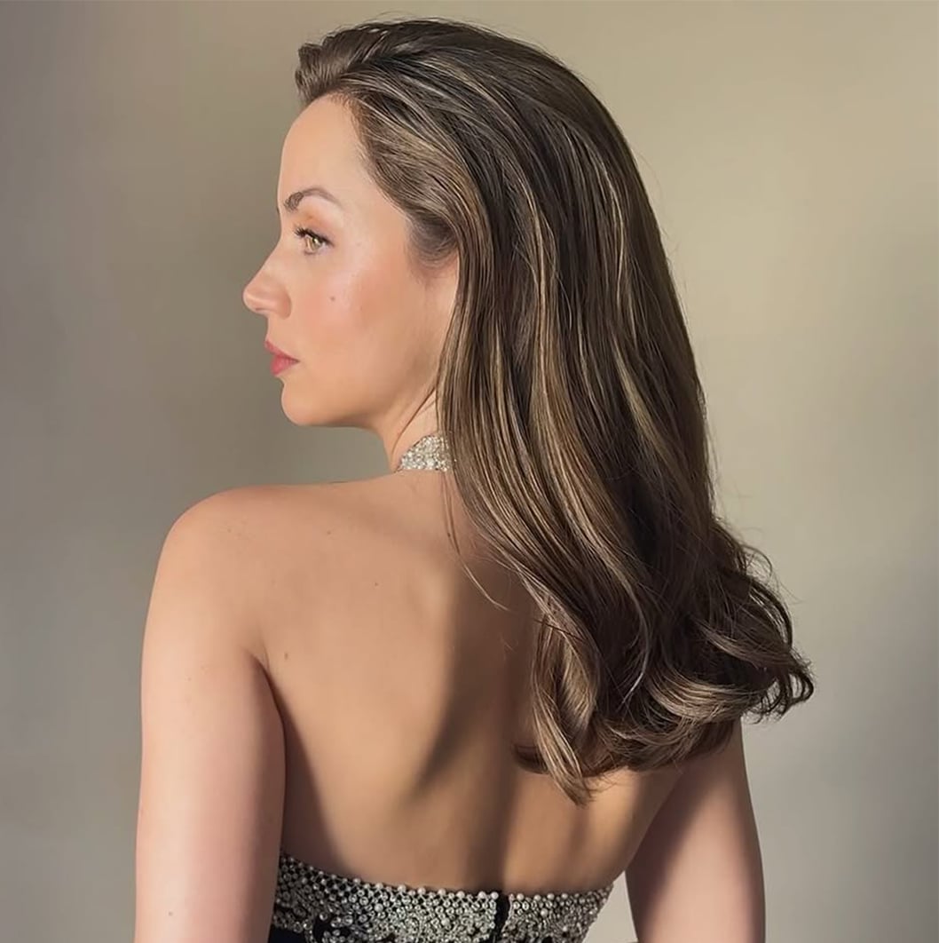 Dark Brown With Ash Brown Highlights Side View Dark Brown With Ash Brown Highlights Side View — Classy Dark Brown Highlights