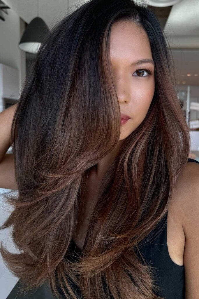 Deep Dark Brown With Warm Brown Highlights Deep Dark Brown With Warm Brown Highlights — Classy Dark Brown Highlights