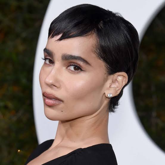 Sharp Black Pixie With Micro Fringe Sharp Black Pixie With Micro Fringe — Classy Edgy Haircuts