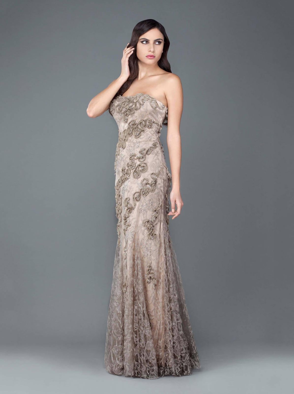 Neutral Beige Lace Gown with Floral Embellishments Neutral Beige Lace Gown with Floral Embellishments — Classy Formal Style