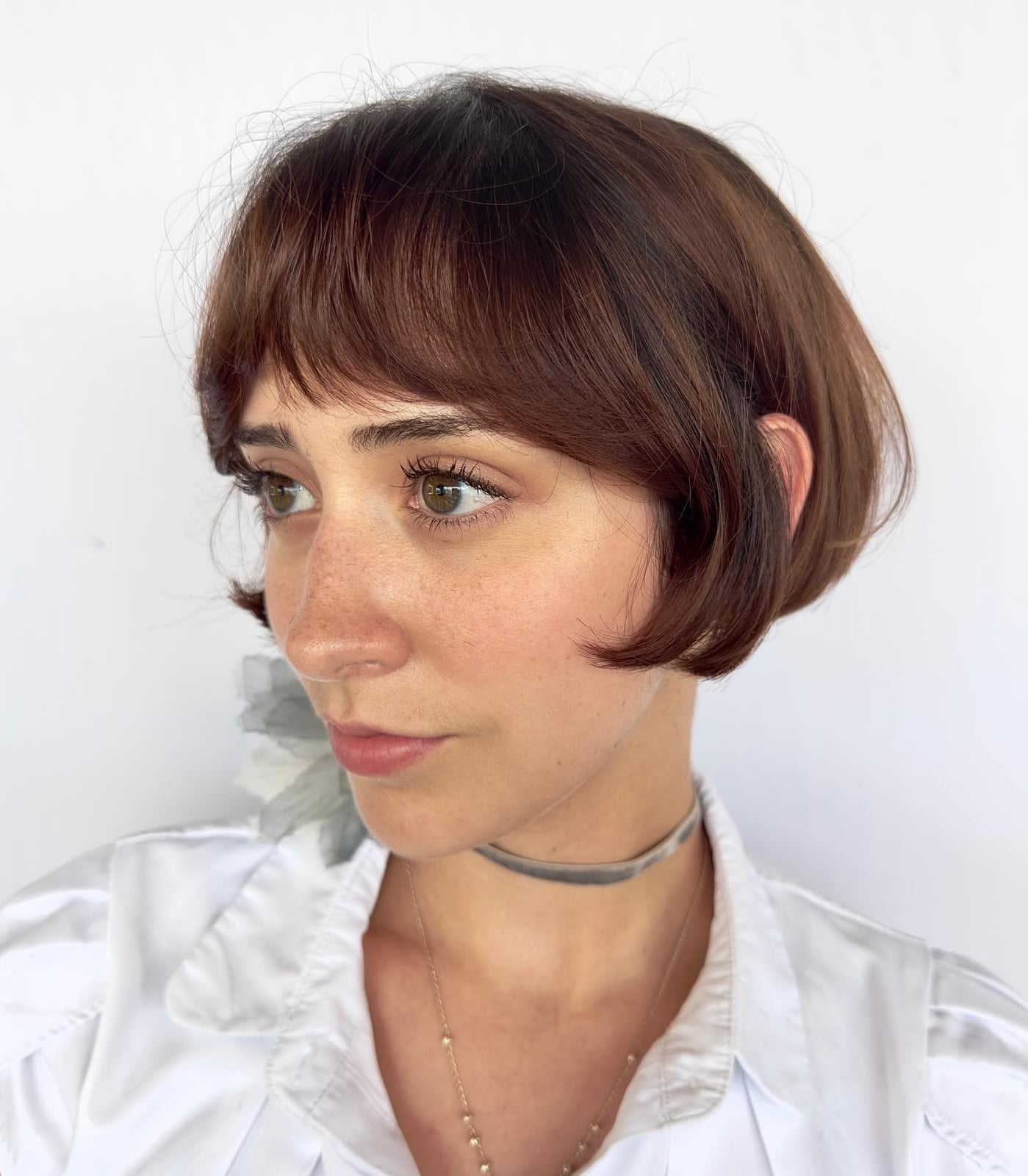 Chin Bob With Blunt Bangs — Classy French Bob