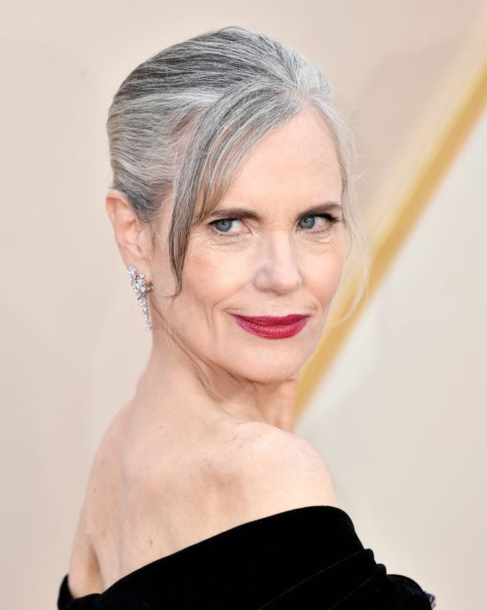 Slicked Back Updo With Gray Blend Slicked Back Updo With Gray Blend — Classy Gray Blending Hair