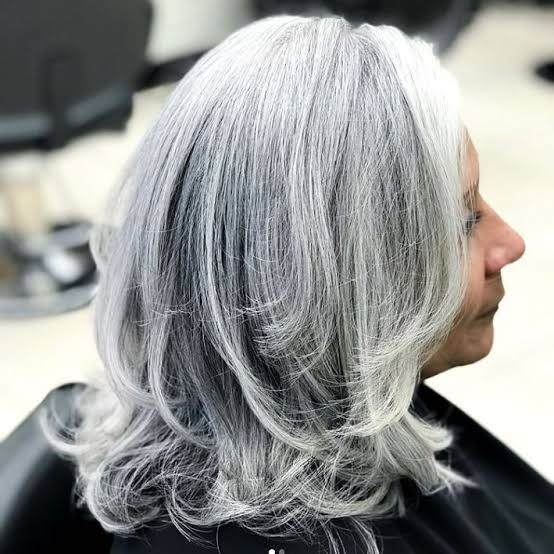 Collarbone Layers With Grey And Lighter Grey Highlights — Classy Grey Blending Highlights