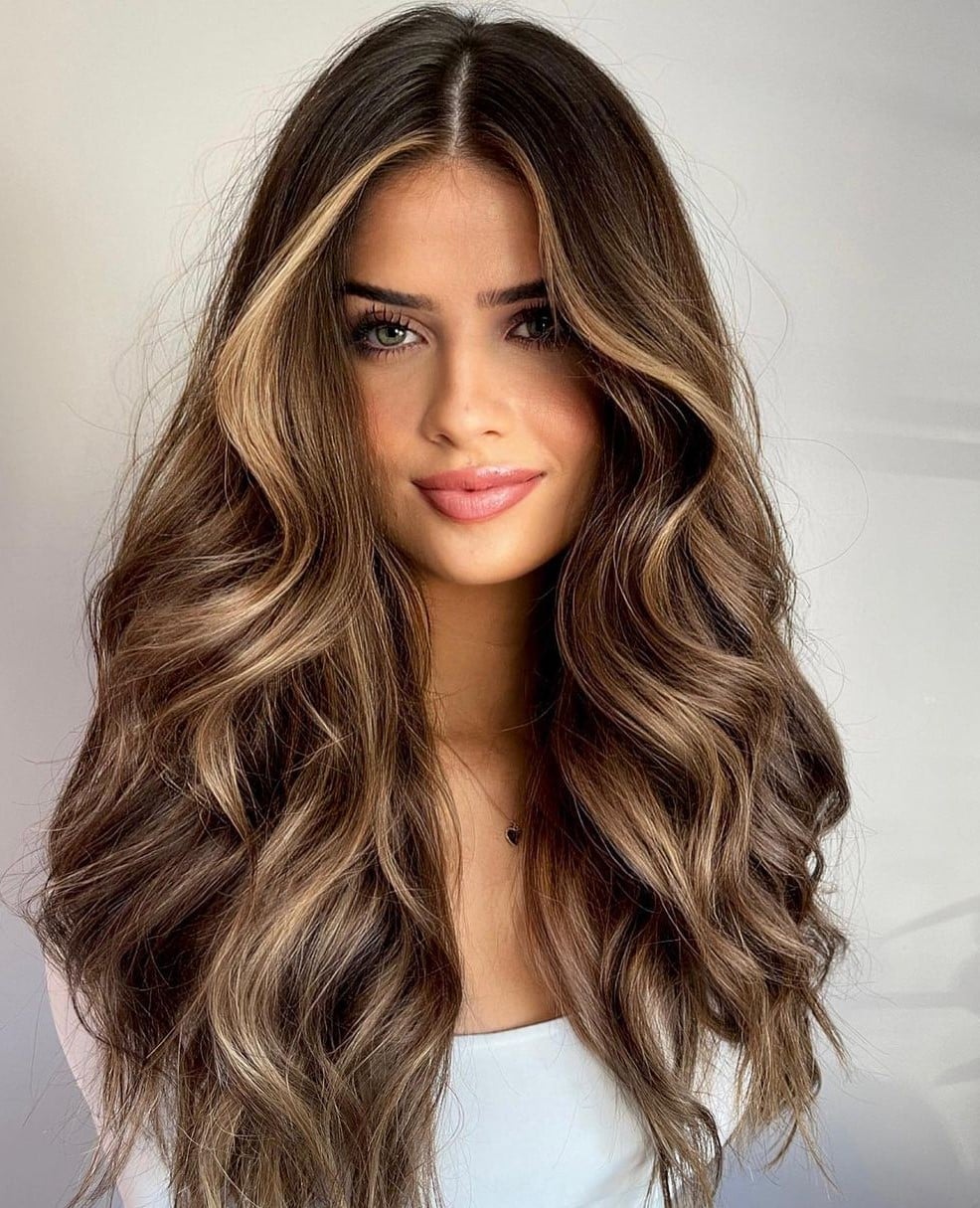 20 Chic Ideas of Black Hair with Caramel Highlights