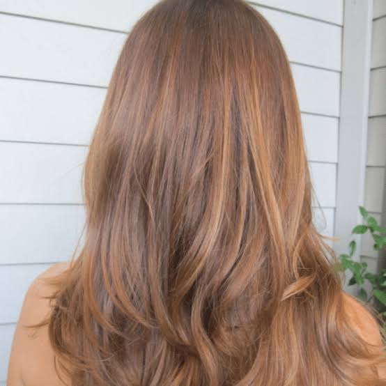 Mid-Back Brown Blowout With Honey — Classy Honey Brown Highlights