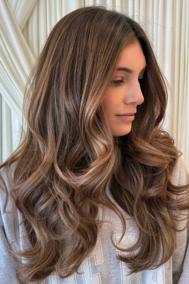 Classy Brown Base With Subtle Honey Highlights — Classy Honey Brown Highlights
